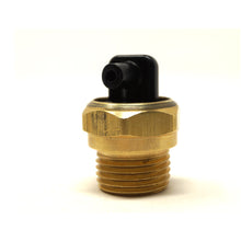 Cargar imagen en el visor de la galería, Válvula de protección térmica para hidrolavadoras 1/2&quot; 100558